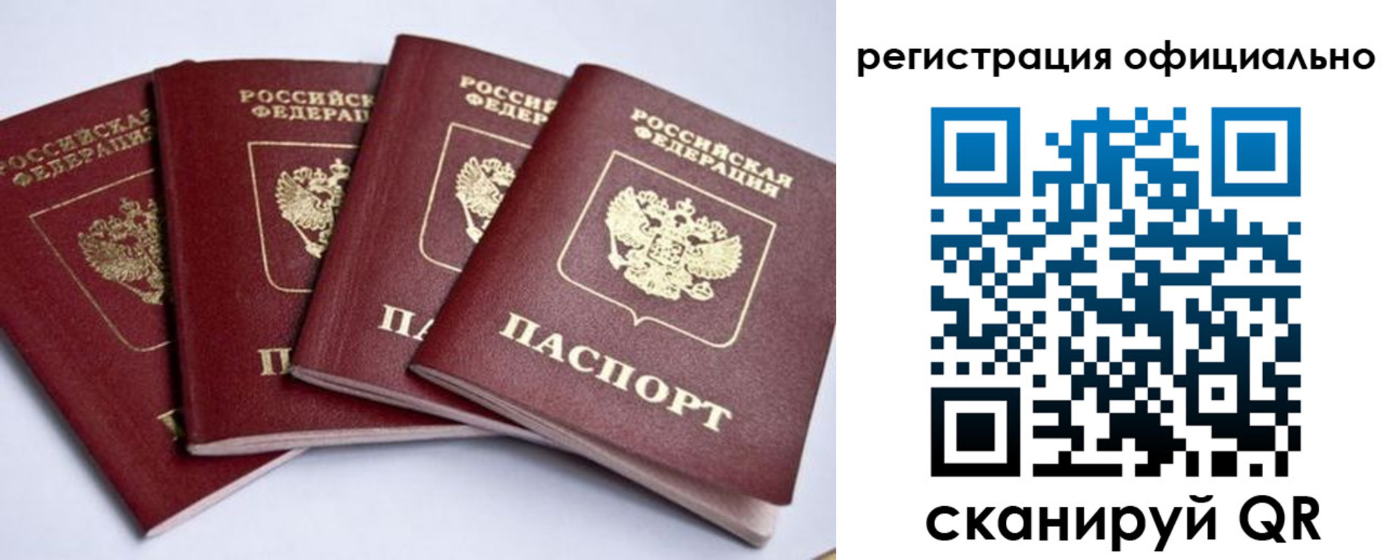 пропишу в квартире в Палласовке